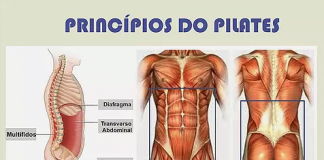 Os 6 princípios do pilates