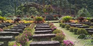 Vale do Amor em Petrópolis Vale do Amor em Petrópolis