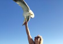 Essa sou eu, chamando a atenção da Gaivota pra foto dentro do Barco Tô de Boa. Foto: Neilane Morais.